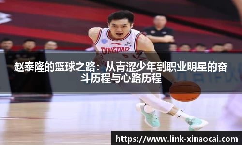 赵泰隆的篮球之路：从青涩少年到职业明星的奋斗历程与心路历程