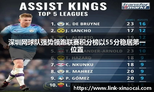 深圳网球队强势领跑联赛积分榜以55分稳居第一位置