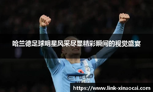 哈兰德足球明星风采尽显精彩瞬间的视觉盛宴